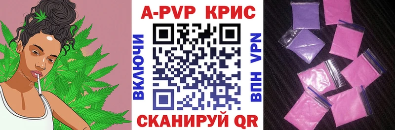 A PVP СК КРИС  Чебоксары 