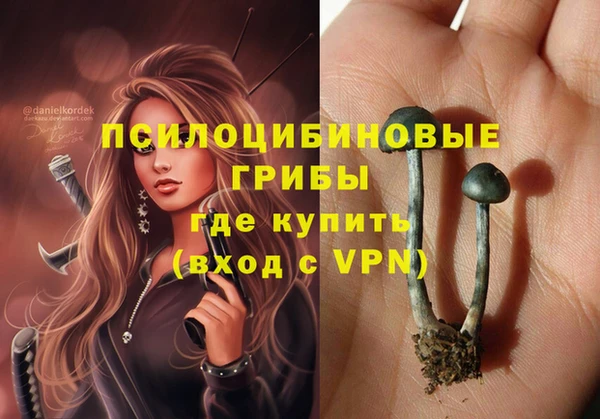 гидропоника Козловка