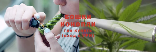 дурь Шадринск