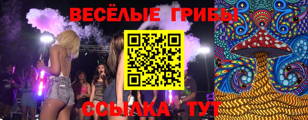 Псилоцибиновые грибы мицелий  Галлюциногенные грибы Cubensis  Чебоксары 