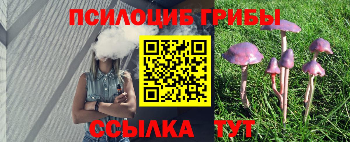 Чебоксары  Галлюциногенные грибы Magic Shrooms  Вход с VPN 