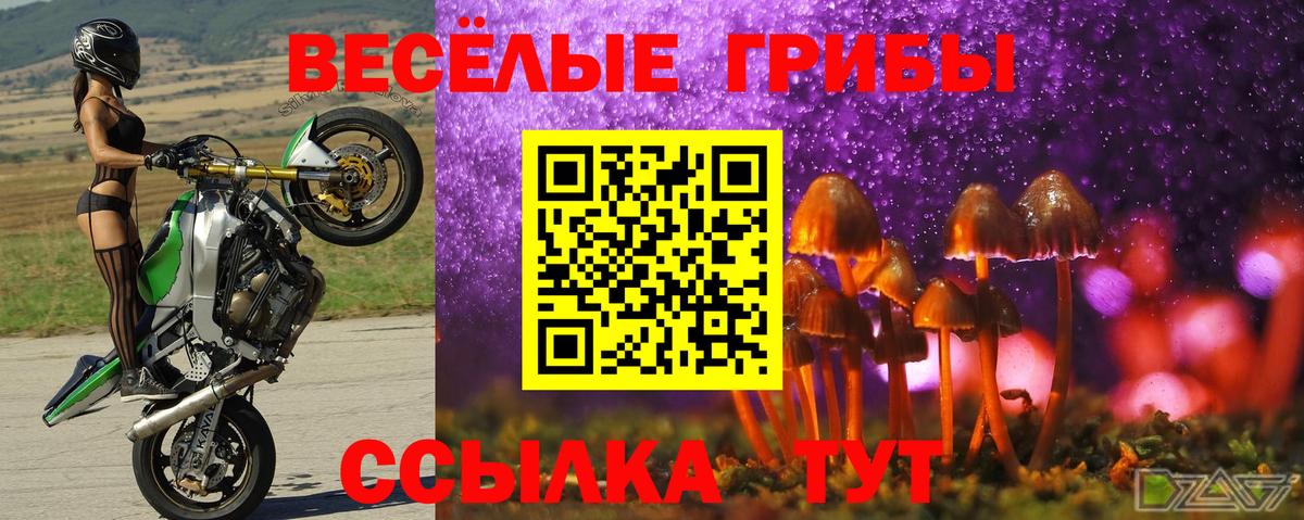 Псилоцибиновые грибы мицелий Чебоксары